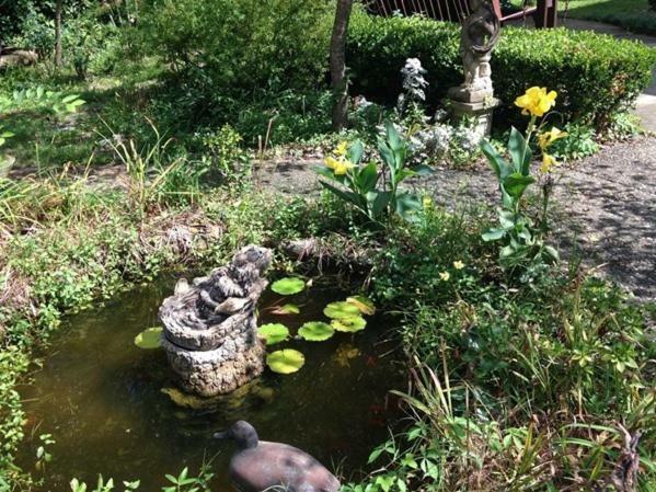 Port City Guest House 威尔明顿 外观 照片